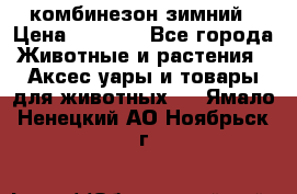 комбинезон зимний › Цена ­ 1 300 - Все города Животные и растения » Аксесcуары и товары для животных   . Ямало-Ненецкий АО,Ноябрьск г.